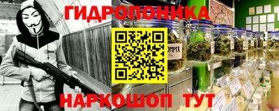 ECSTASY Будённовск