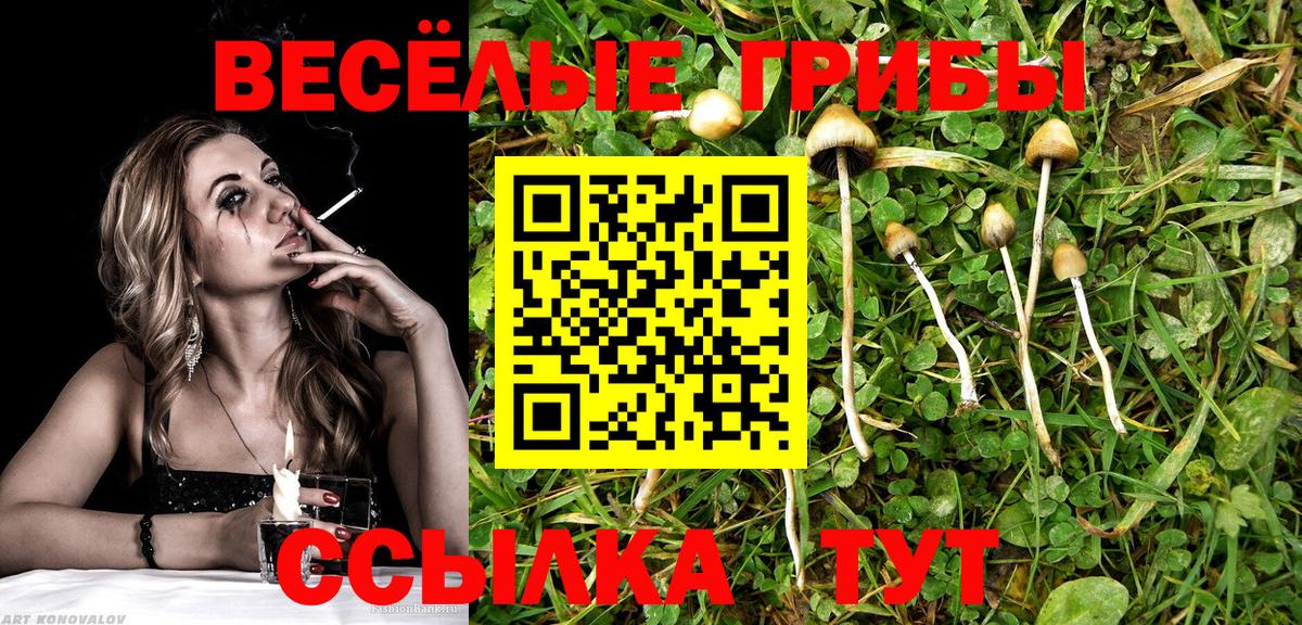 Нововоронеж  Галлюциногенные грибы GOLDEN TEACHER  Псилоцибиновые грибы GOLDEN TEACHER  Вход с VPN 