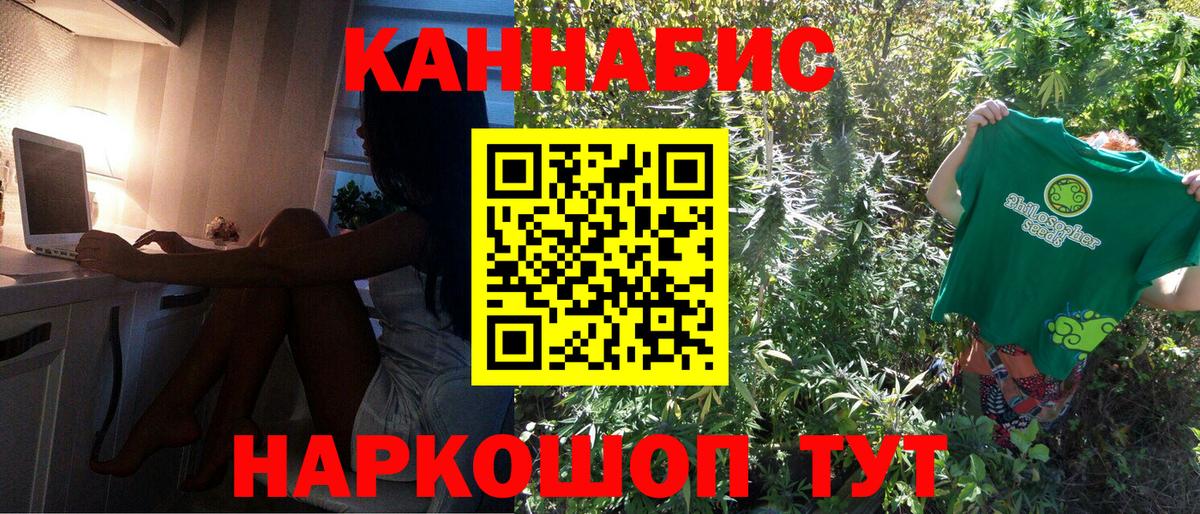 Бошки марихуана конопля  Марихуана план  Нововоронеж  Марихуана SATIVA & INDICA  Вход с VPN 